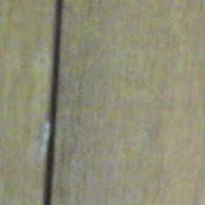 Meet your Posher, Felicia